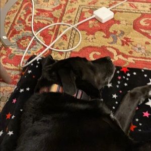 Meet your Posher, Philip